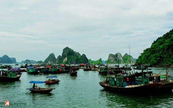 Quản[-]lý,[-]khai[-]thác[-]vùng[-]biển[-]bền[-]vững[-]gắn[-]với[-]thích[-]ứng[-]biến[-]đổi[-]khí[-]hậu